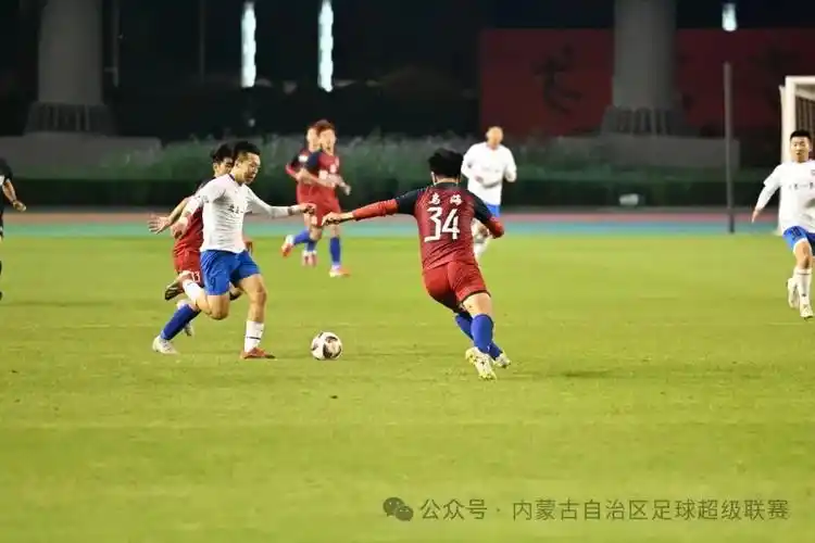 蜘蛛直播